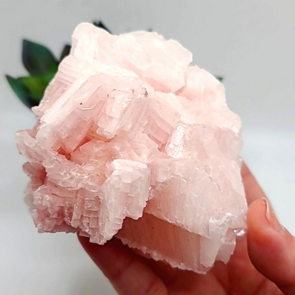 CLEARANCE Large Cotton Candy California Pink Halite Crystal Cluster H